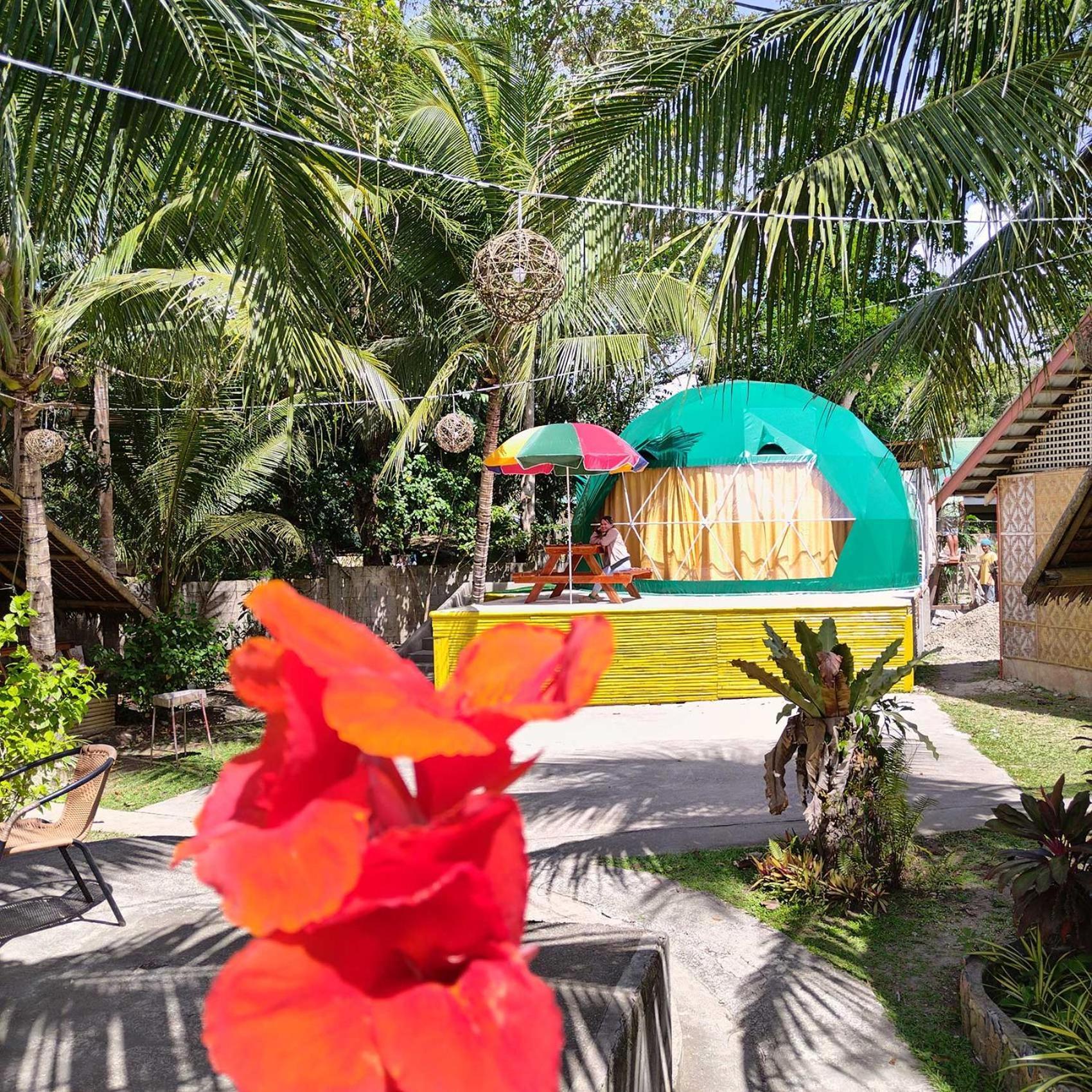 Eco Glamping Treehouses Closest Resort To All Tourist Attractions Balilihan 외부 사진