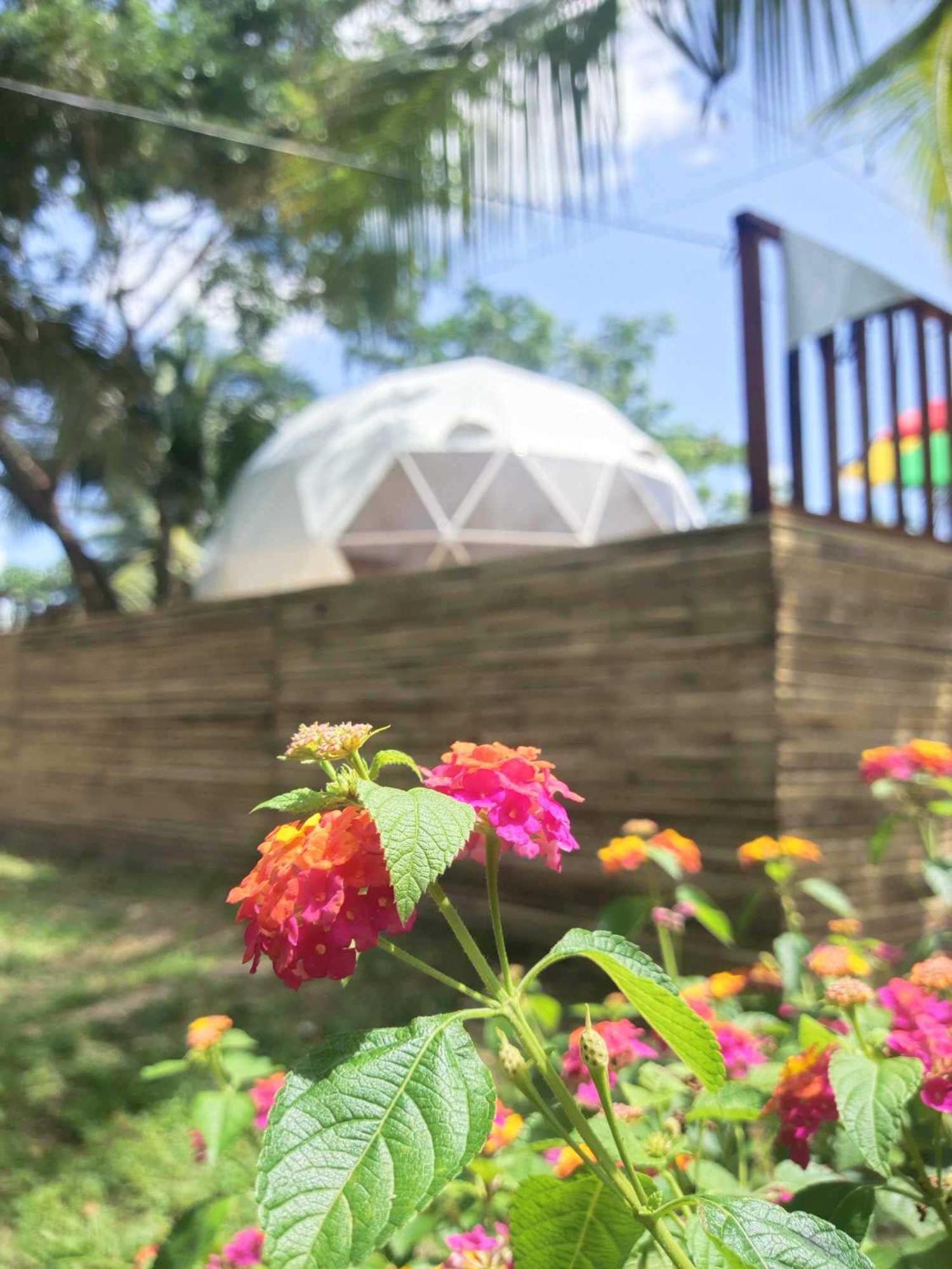 Eco Glamping Treehouses Closest Resort To All Tourist Attractions Balilihan 외부 사진